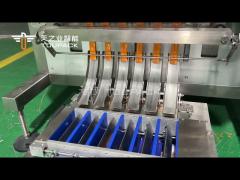TOUPACK Multi-column Package Checkweighing System