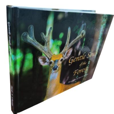 China Gentle Souls Of The Forest Hardcover Coffee Table Book for sale