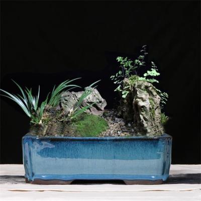 China Blue 30.3cmx21.6cmx10.5cm Ceramic Glazed Bonsai Pots for sale