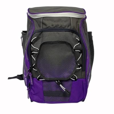 China OEM ODM Outdoor Sports Backpack 100 % Polyester Softball Gear Bag for sale