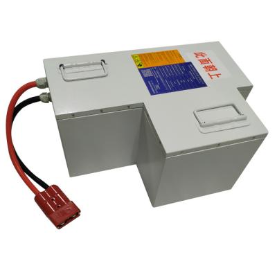 Chine Batterie LiFePO4 50ah d'AGV de la batterie BMS de phosphate de fer de lithium cycle profond de 48 volts à vendre