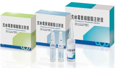 China GMP Certified Powder For Injection Clindamycin Phosphate Injection for sale