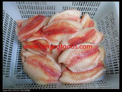 China High glazing frozen tilapia fillet with low price for sale