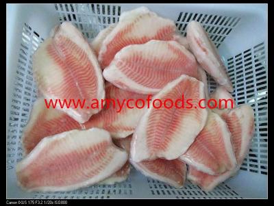 China High glazing IQF frozen tilapia fillet for sale