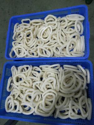 China Frozen squid ring high quality and low price supply in China for sale