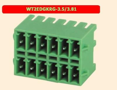 China Plug - In PCB Terminal Block 300V 2P-24P Wire Connector Block Flexible Design for sale