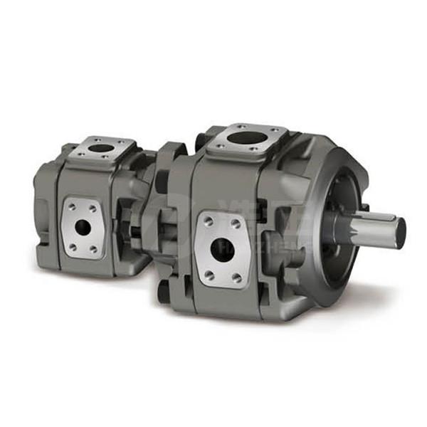Quality VG Series Hydraulic Gear Pump Independent Outlet Custom Internal for sale