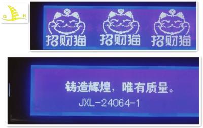 China STN FSTN 24064 Dots Matrix 12 O'Clock COB LCD Display Module for sale