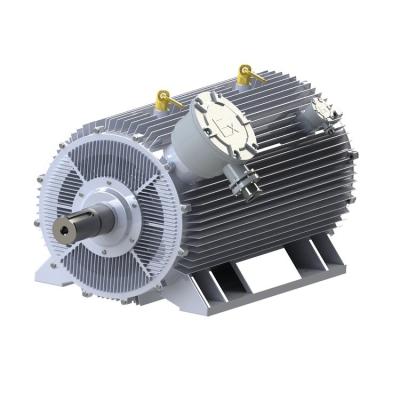 China 2 Poles Air Cooled Permanent Magnet Synchronous Motor Low Noise Without Gear Box for sale