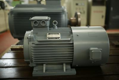 China AC Permanent Magnet Generator Alternator Low Noise / Maintenance For Wind Turbine for sale