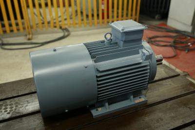 Cina 220VAC generatore eolico di alta efficienza di 3 fasi, generatore a magnete permanente dell'alternatore in vendita