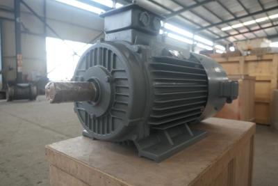 China 200kw 500rpm 400V 50Hz PMA Alternator Generator High Torque For Wind Industry for sale