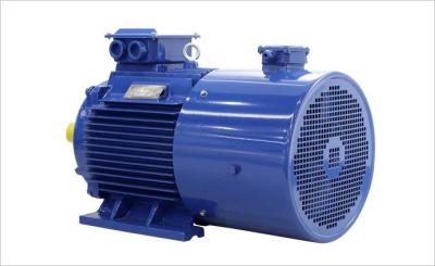 China Variable Speed Permanent Magnet Synchronous Motor for sale