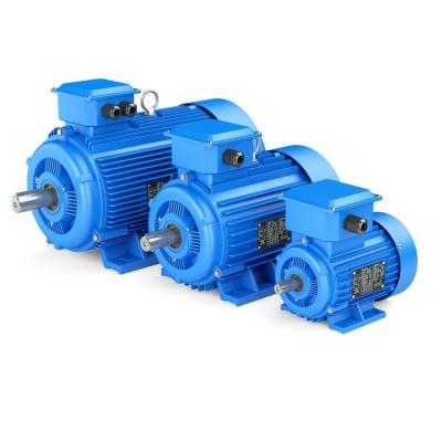 China Custom Low Vibration 3 Phase PMSM Motor , 2 Pole AC Synchronous Electric Motor for sale