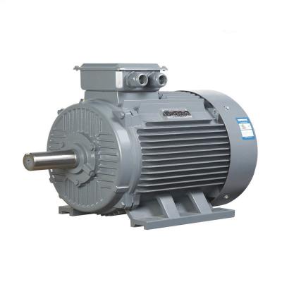 China Small Size Lightweight 3 Phase PMSM Motor For Induction Motor Replacement for sale