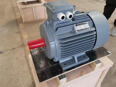 China Customized 132kw 150kw Permanent Magnet Electric Motor For Plastic Extruder for sale