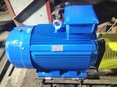 China 185kw 3000rpm 380V Permanent Magnet Electric Motor For Water Pump for sale