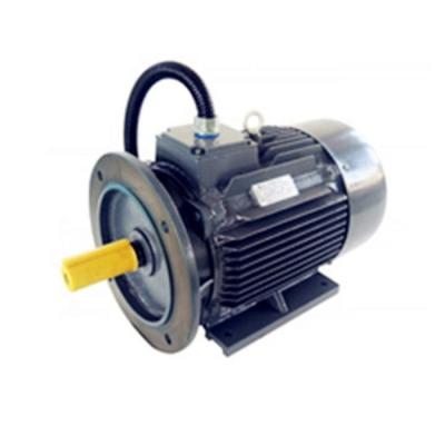 China Brushless Gearless Permanent Magnet Electric Motor Low Noise PMAC Electric Motor for sale