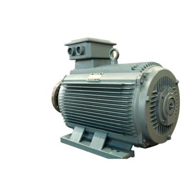 China Simple Structure Neodymium Permanent Magnet Motor PMM 5.5kw-3000kw for sale