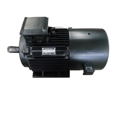 China IP54 IP55 IP68 Three Phase Permanent Magnet Motor High Torque Low Noise for sale