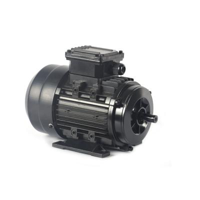 China IP54 IP55 50hz PMSM Electric Motor Low Noise And Vibration Wide Speed Range for sale