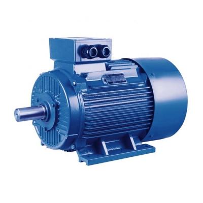 China Durable Permanent Magnet AC Motor for sale
