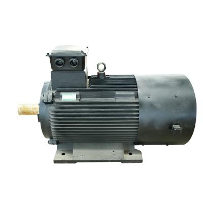 China 220v Alternative Energy Permanent Magnet Alternator For Hydropower for sale