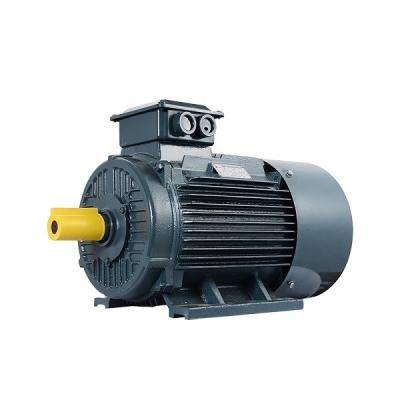 China AC Permanent Magnet Electric Motor for sale