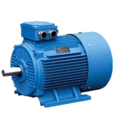 China Safe Durable Permanent Magnet Gearless Motor Maintenance Free for sale