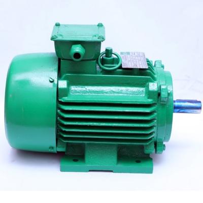 China 50HZ 60HZ 3 Phase Permanent Magnet Synchronous Motor Price IC411 Cooling for sale