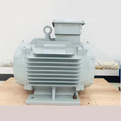 China Three Phase Low Maintenance Permanent Magnet Motors for sale