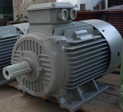 China Three Phase Permanent Magnet AC Alternator Natural Cooled For Wind Turbine for sale