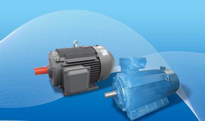 中国 Variable Speed Permanent Magnet AC Motor For Mixing Tank 販売のため