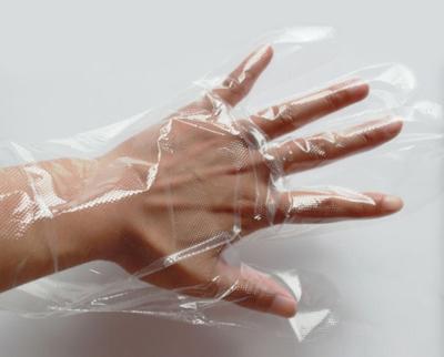 China Multipurpose Disposable Clear Transparent Powder Free Kitchen Food Grade Plastic PE Gloves for sale