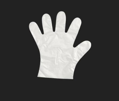 China Premium quality cheap transparent plastic ldpe/ hdpe gloves for sale