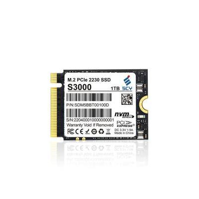 중국 M.2 2230 NVME SSD 하드 디스크 드라이브 PC 고체 상태 드라이브 3300MB/S 판매용
