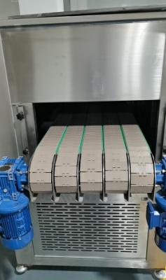 China Línea de producción de lápiz labial Máquina de túnel de congelación circulante de cinco carriles en venta