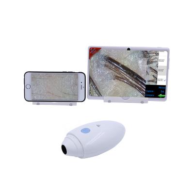 China 50 Times 200 Times Facial Lamp Reveal Skin Analysis Machine for sale
