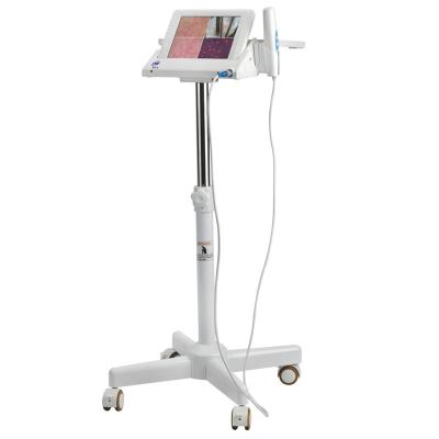 China WIFI Beauty Parlour Products Skin Analyzer Machine With 8 Inch LCD Monitor for sale