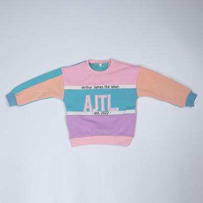 China 3D Embroidery Pullover Fleece Sweatshirt With Patchwork Color for sale