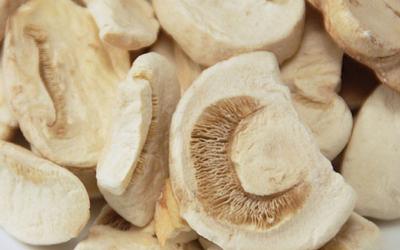 Китай Естественное здоровое замораживание - высушенный ломтик засыхания замораживания Agaricus гриба еды грибной продается