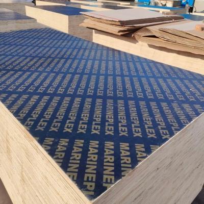 China Industrial Grade Alin Plywood Shuttering Shuttering Plywood Super Quality Dynea Phenolic Glue Anti Slip Shuttering Plywood for sale
