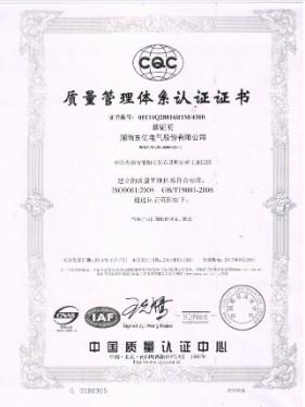 ISO - Hunan Dongyi Electric Co., Ltd.