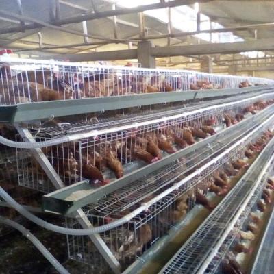 China Poultry Farming 3 Tier Chicken Cage Laying Eggs Q235 Steel Wire Mesh for sale