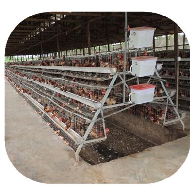 China Hot Galvanized 4 Tier Layer Cage Egg Poultry Farm Chicken House en venta