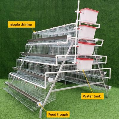 China Automatic Feeding 160 Chickens Galvanized Chicken Cage Laying Hen Cages for sale