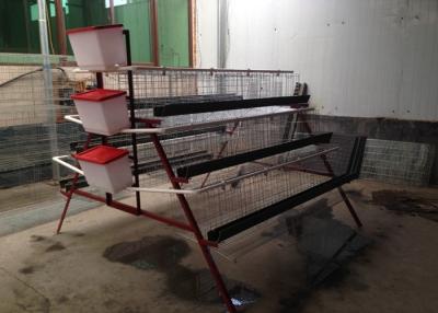 China 96birds 3 Tier Chicken Cage Chicken Laying Eggs Cage non rusting for sale