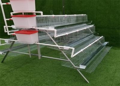 China Galvanized  Q235 Steel Wire Egg Layer Poultry Farm Cage  1.95 × 2.1 × 1.6M for sale