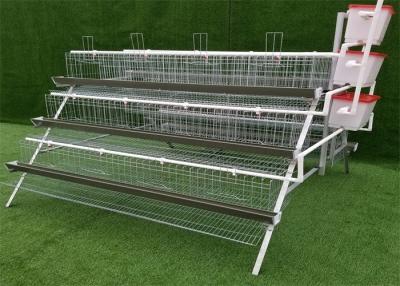 China Cold Galvanized Durable Raising Chickens Egg Laying Cage 120Birds for sale