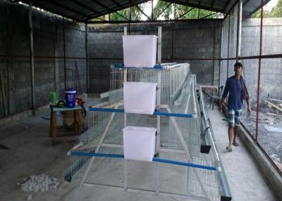 China 3 Tiers 4 Rooms 500-1000 Birds Chicken Breeding Cages For Philippine Farms for sale
